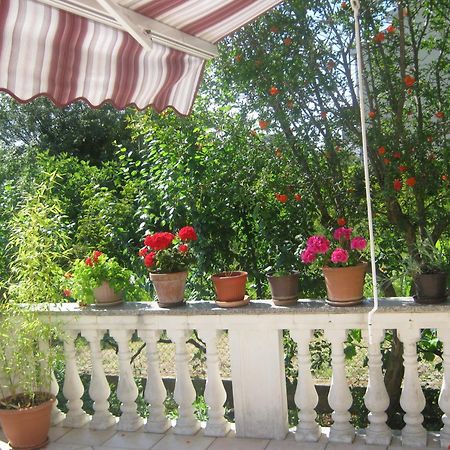Apartments Grzunov Zadar Cameră foto